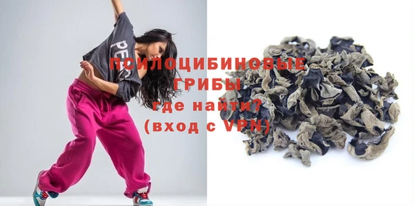прущий лед Козловка