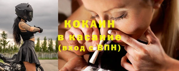 гашик Корсаков
