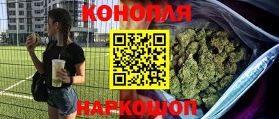сатива Можга