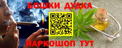 сатива Можга
