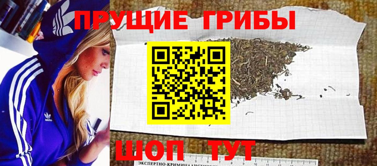 Галлюциногенные грибы Magic Shrooms  Вход с VPN  Псилоцибиновые грибы Cubensis  наркотики  Добрянка 