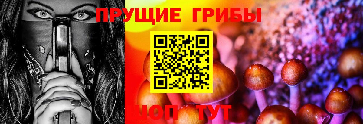 Псилоцибиновые грибы Cubensis Добрянка